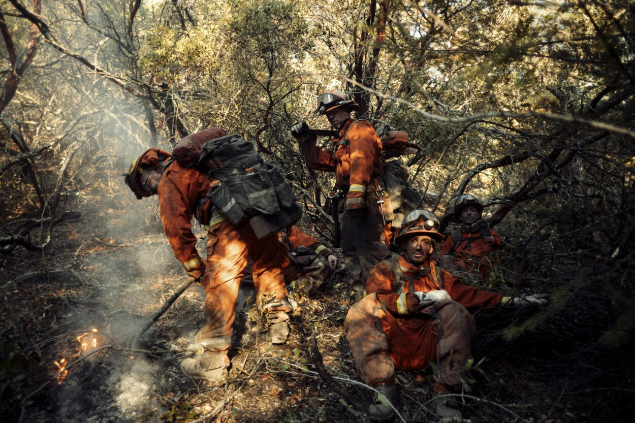HOWL, O WESTERN WIND by Brian Frank